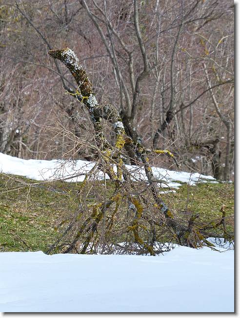 Clicca per scorrere le foto originali ingrandite