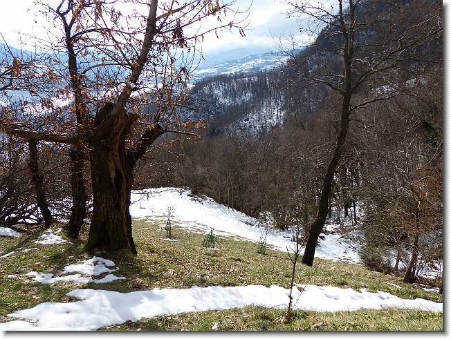 Clicca per scorrere le foto originali ingrandite