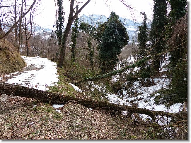 Clicca per scorrere le foto originali ingrandite