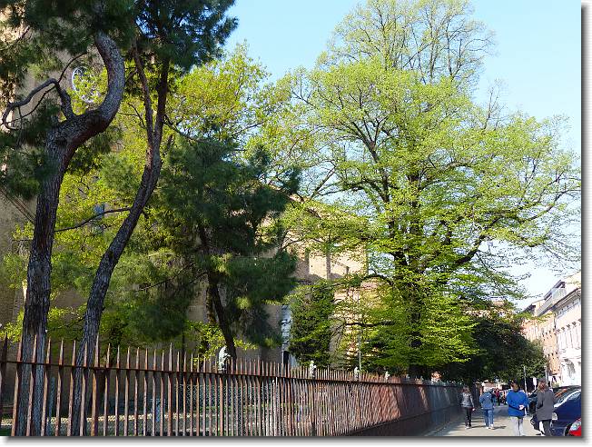 Clicca per scorrere le foto originali ingrandite