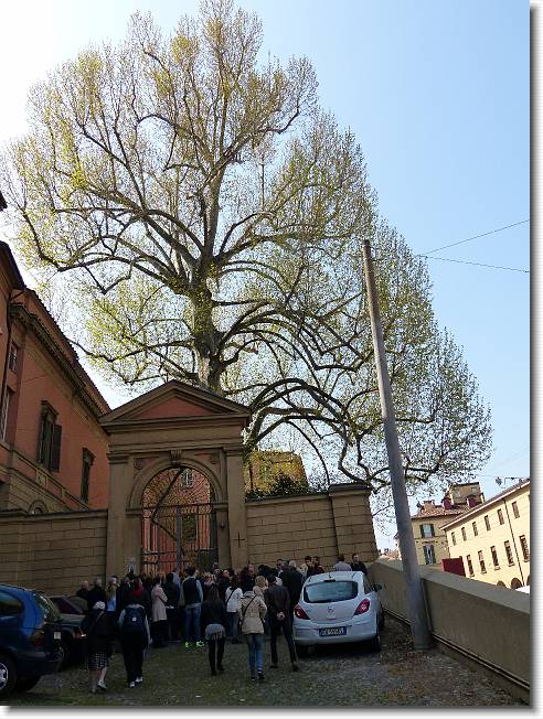 Clicca per scorrere le foto originali ingrandite