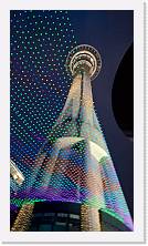 WP_20151121_20_36_04_Pro * 3024 x 5376 * (4.77MB)