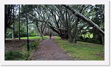 WP_20151122_11_32_19_Pro * 5376 x 3024 * (6.98MB)