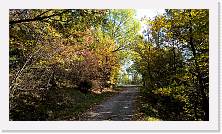 WP_20151101_11_20_58_Pro * 5376 x 3024 * (8.77MB)
