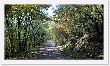 WP_20151101_11_21_09_Pro * 5376 x 3024 * (8.66MB)
