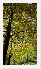 WP_20151101_11_23_16_Pro * 3024 x 5376 * (7.82MB)