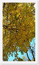 WP_20151101_11_23_22_Pro * 5376 x 3024 * (7.12MB)