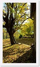 WP_20151101_11_25_09_Pro * 3024 x 5376 * (8.13MB)
