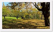 WP_20151101_11_25_17_Pro * 5376 x 3024 * (8.55MB)
