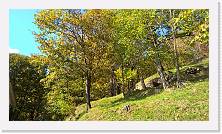 WP_20151101_11_25_34_Pro * 5376 x 3024 * (9.12MB)