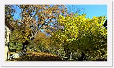 WP_20151101_11_25_54_Pro * 5376 x 3024 * (8.53MB)