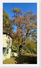 WP_20151101_11_26_15_Pro * 3024 x 5376 * (8.53MB)