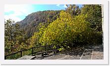 WP_20151101_11_26_26_Pro * 5376 x 3024 * (7.37MB)