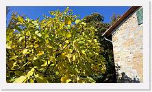 WP_20151101_11_28_26_Pro * 5376 x 3024 * (6.64MB)