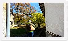 WP_20151101_11_28_42_Pro * 5376 x 3024 * (7.41MB)