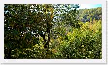 WP_20151101_11_30_10_Pro * 5376 x 3024 * (7.96MB)