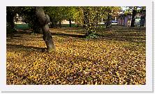 WP_20151107_15_10_56_Rich * 5376 x 3024 * (8.54MB)