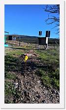 WP_20151210_10_34_59_Pro * 3024 x 5376 * (6.71MB)