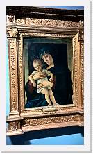 WP_20160227_11_56_07_Pro * 3024 x 5376 * (4.95MB)