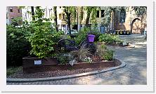 WP_20160410_15_44_11_Pro * 5376 x 3024 * (6.81MB)