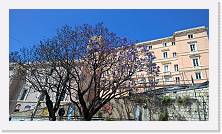 AP_20160520_15_17_01_Pro * 5376 x 3024 * (6.46MB)