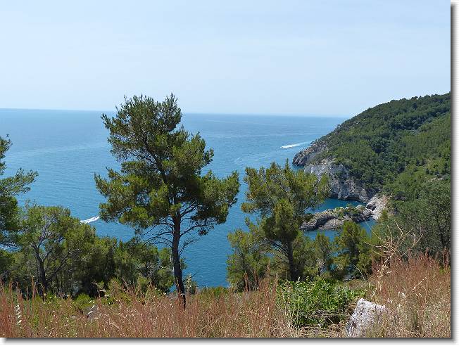 Clicca per scorrere le foto originali ingrandite