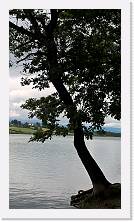 WP_20160602_16_13_47_Pro * 3024 x 5376 * (4.79MB)