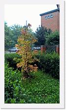 WP_20161105_13_57_51_Pro * 3024 x 5376 * (6.22MB)