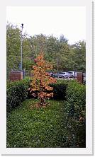 WP_20161113_13_16_19_Pro * 3024 x 5376 * (5.7MB)