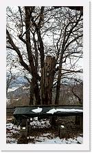 WP_20170121_14_54_59_Pro * 3024 x 5376 * (6.92MB)