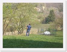 IMG_20170325_141012 * cof * cof * 3968 x 2976 * (1.63MB)