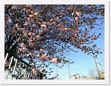 IMG_20170312_164316 * cof * cof * 3968 x 2976 * (4.26MB)