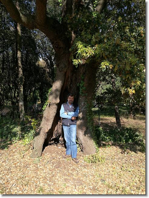 Clicca per scorrere le foto originali ingrandite