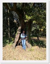 IMG_20170517_172754_1 * sdr * sdr * 2976 x 3968 * (5.66MB)