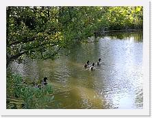 IMG_20170526_184157 * dig * dig * 3968 x 2976 * (3.12MB)