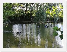 IMG_20170526_184241 * dig * dig * 3968 x 2976 * (3.35MB)