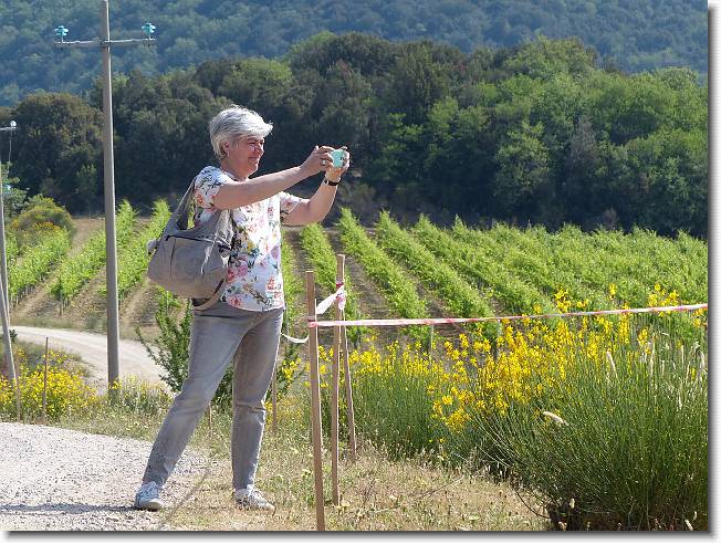 Clicca per scorrere le foto originali ingrandite