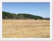 IMG_20170802_103925 * cof * cof * 3968 x 2976 * (3.33MB)