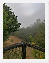 IMG_20170810_144540 * sdr * sdr * 2976 x 3968 * (3.24MB)