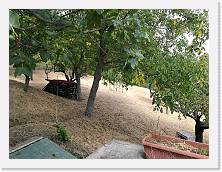 IMG_20170816_142355 * dav * dav * 3968 x 2976 * (6.07MB)