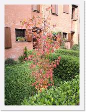 IMG_20171029_115100 * cof * cof * 2976 x 3968 * (3.71MB)