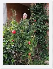 IMG_20171029_115141 * cof * cof * 2976 x 3968 * (3.36MB)
