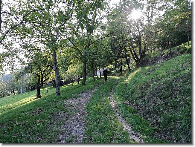 Clicca per scorrere le foto originali ingrandite