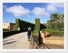 IMG_20171020_110901 * cof * cof * 3968 x 2976 * (3.02MB)