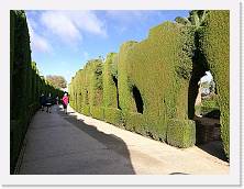 IMG_20171020_110922 * cof * cof * 3968 x 2976 * (3.82MB)