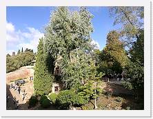IMG_20171020_112038 * cof * cof * 3968 x 2976 * (4.44MB)