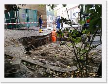 IMG_20171109_145609_1 * cof * cof * 3968 x 2976 * (4.53MB)