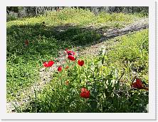IMG_20180323_113042 * cof * cof * 3968 x 2976 * (3.67MB)