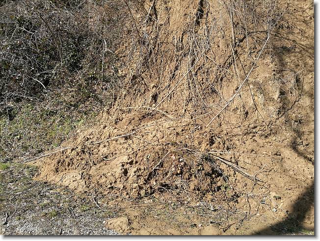 Clicca per scorrere le foto originali ingrandite