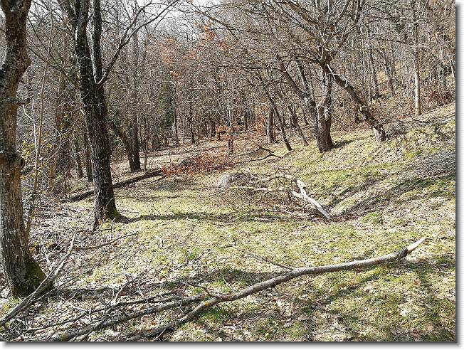 Clicca per scorrere le foto originali ingrandite